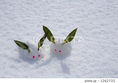 ゆきうさぎ 雪うさぎ 新雪の写真素材 [1262732] - PIXTA