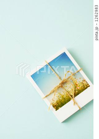 ポラロイド写真の束 ポラロイド写真の束 1262983
