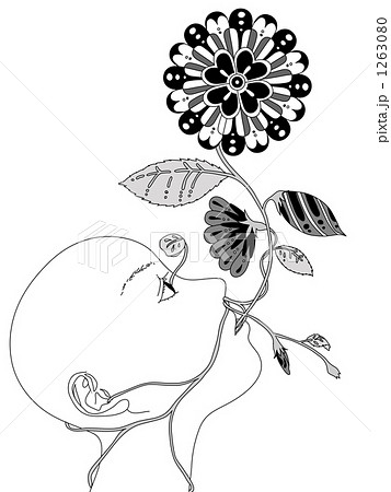 人から花 1263080