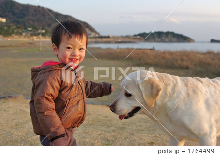 犬とのたわむれ 1264499