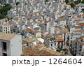 密集 1264604