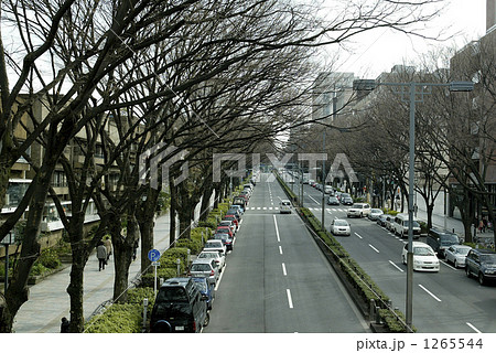 一昔前の表参道 一昔前の表参道 1265544