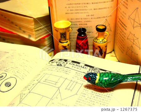 数学をついばむ◆本の著作権切れ確認用画像有り 1267375