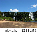 イグアスの滝で日光浴 1268168