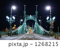 夜の自由橋 1268215