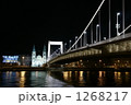 夜のエリザベート橋 1268217