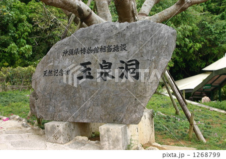 沖縄の鍾乳洞です 沖縄の鍾乳洞です 1268799