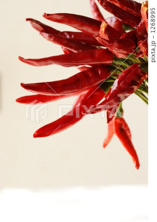 真っ赤なタカノツメ 1268995