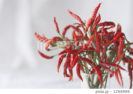 鷹の爪とコップ 1268999