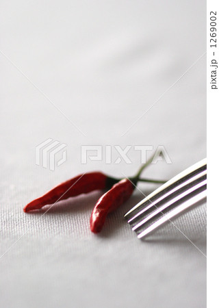 鷹の爪とフォーク 1269002