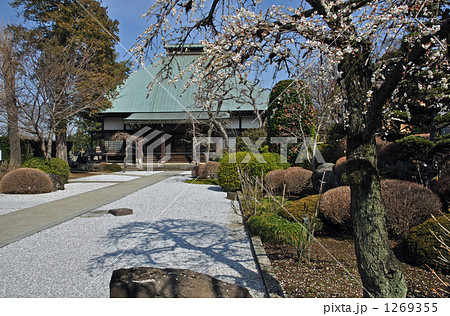 岩槻散歩・浄安寺 岩槻散歩・浄安寺 1269355