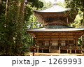 高野山 西塔 1269993