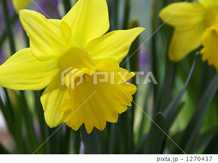 エクセプション 1270437