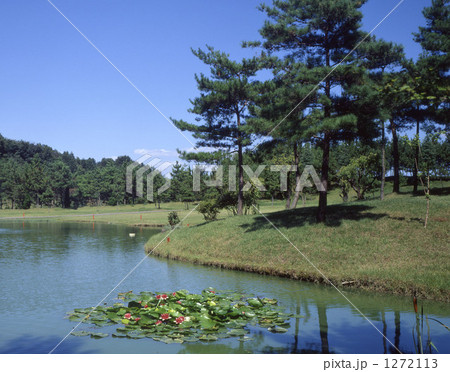 ゴルフ場 1272113