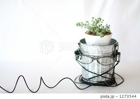 顔イメージ #2 顔イメージ #2 1273544