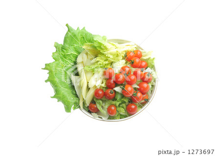 フレッシュサラダ 1273697