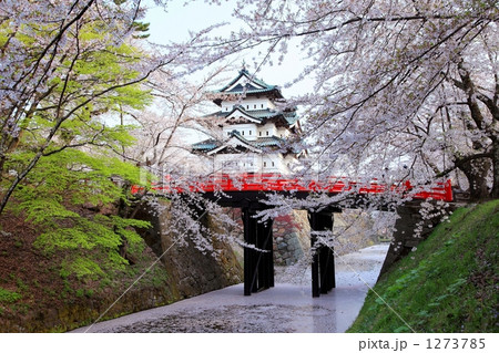 弘前城の桜 1273785