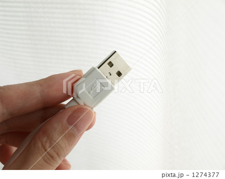 USBを持つ手 1274377