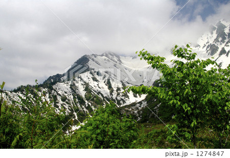 春の黒部 春の黒部 1274847