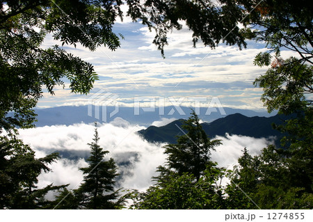 自然の木枠からの風景 1274855