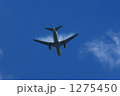 着陸前の翼端渦流 1275450