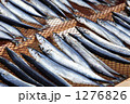 秋刀魚干し 1276826