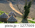 農村 1277009