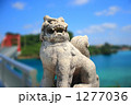 沖縄　シーサー 1277036