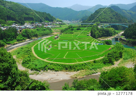 和歌山・有田川流域のあらぎ島 和歌山・有田川流域のあらぎ島 1277178