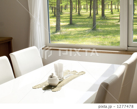 林の中の自宅カフェ02 1277478