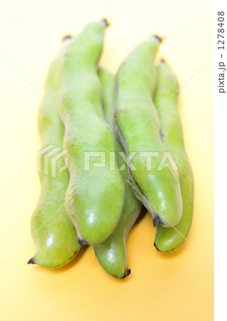 春野菜のソラマメ。 春野菜のソラマメ。 1278408
