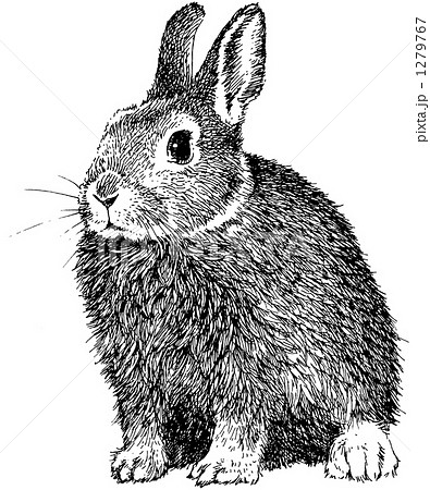 Rabbit Of Pen Pain 1 Stock Illustration