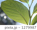 1279987