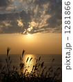 1281866