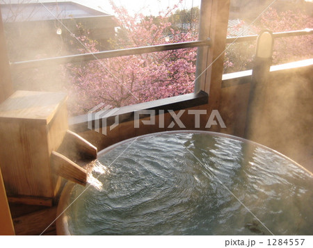 湯煙と桜 1284557