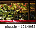 紅葉 1284968