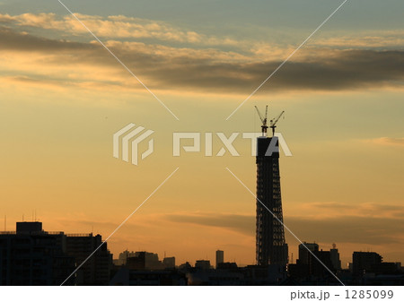 東京の夢、建造中2 東京の夢、建造中2 1285099