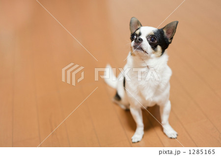 1285165