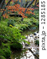紅葉 1285185