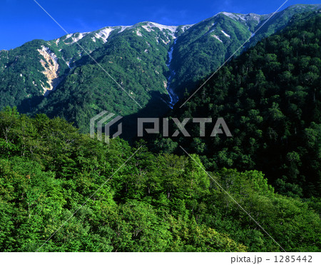 北アルプス・蓮華岳 1285442