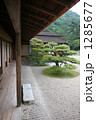 香川 栗林公園の風景 1285677