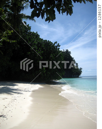 パラオの砂浜 パラオの砂浜 1286137