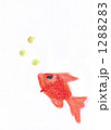 金魚 1288283