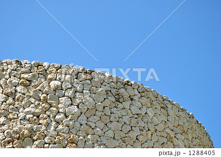 琉球石灰岩の壁 琉球石灰岩の壁 1288405