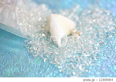 Shell Collection-20 1289064