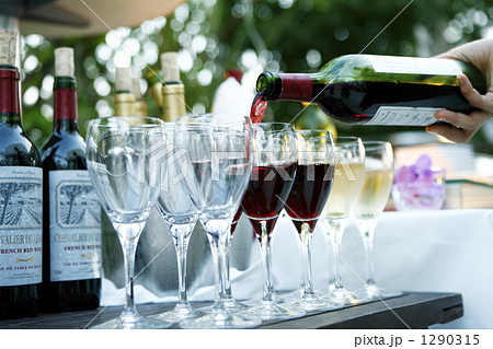 ガーデンパーティ ガーデンパーティ 1290315