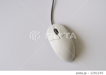 マウス 1291245