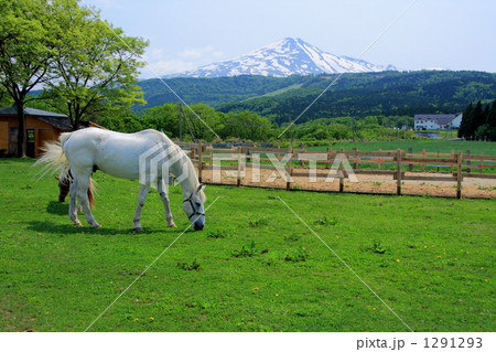 白馬と鳥海山 白馬と鳥海山 1291293