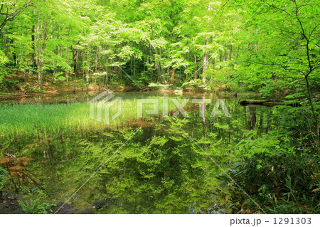 蔦沼・鏡沼 1291303