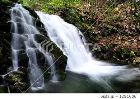 源流の滝 1291606